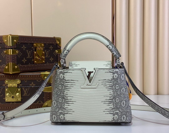 Cap N48865 21x14x8cm gf2_2