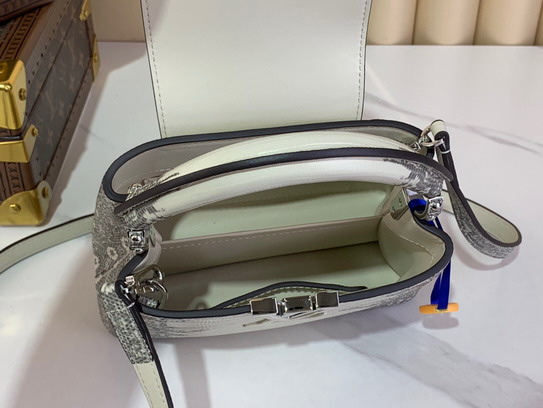 Cap N48865 21x14x8cm gf2_8