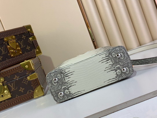 Cap N48865 21x14x8cm gf2_9