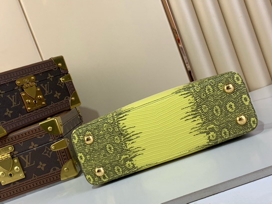 Cap N48865 27x18x9cm gf1_4