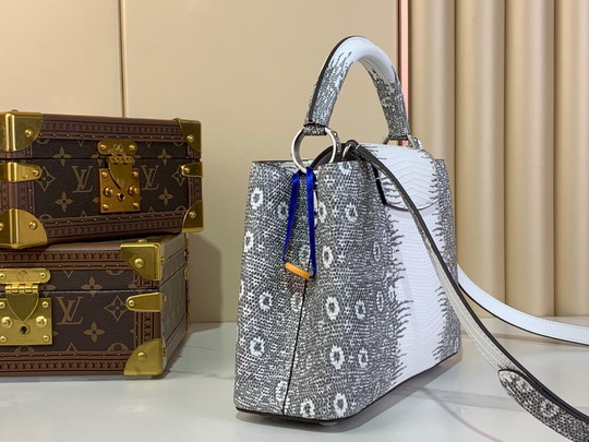 Cap N48865 27x18x9cm gf3_2