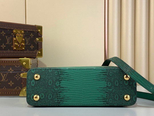 Cap N48865 27x18x9cm gf4_4