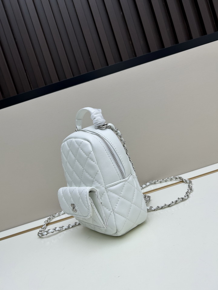 Chanel 2876 12x19x7cm jj4_2