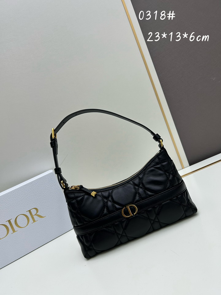 Dior 0318 23x13x6cm ss1_1