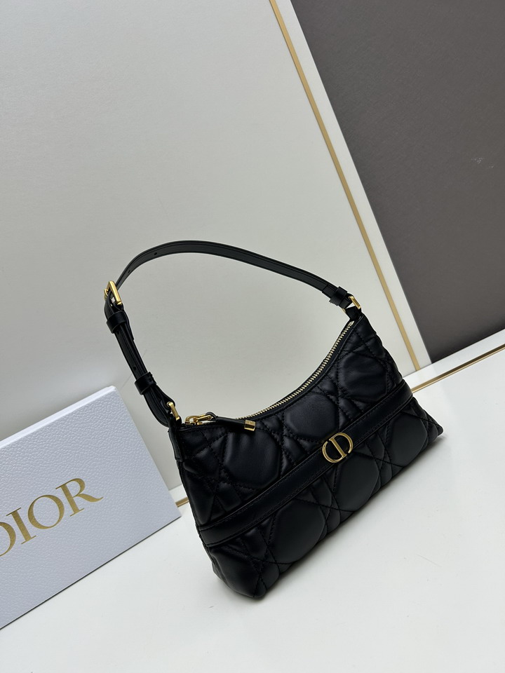 Dior 0318 23x13x6cm ss1_2