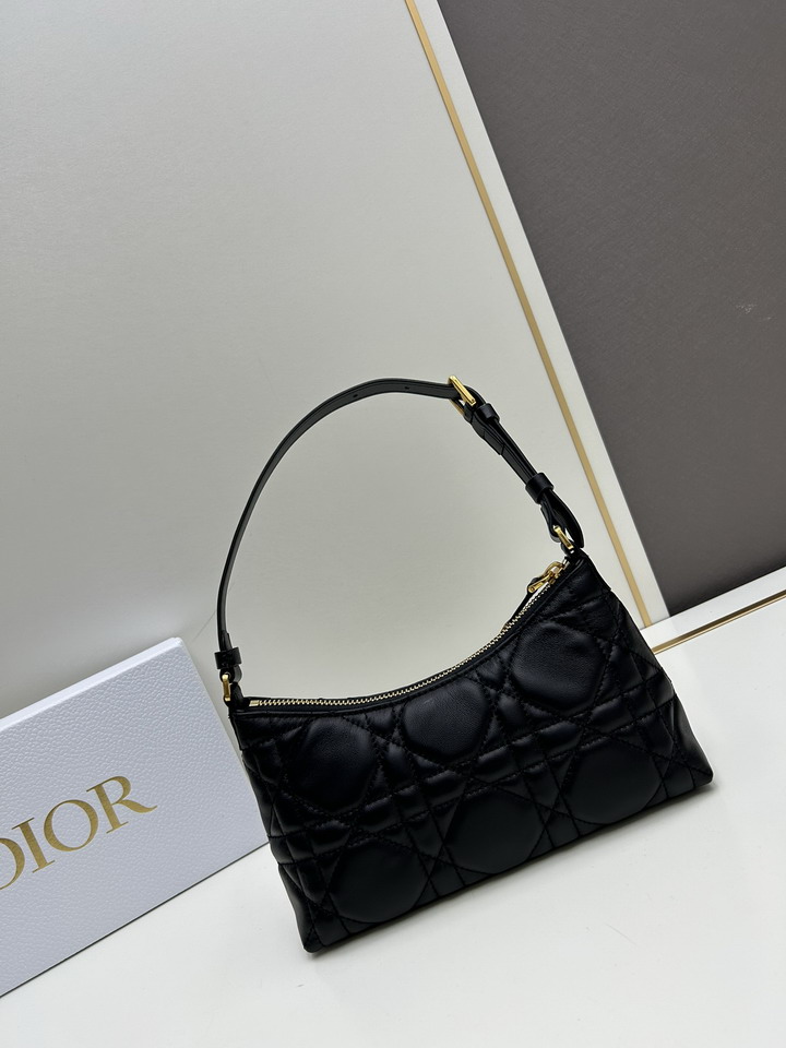 Dior 0318 23x13x6cm ss1_3
