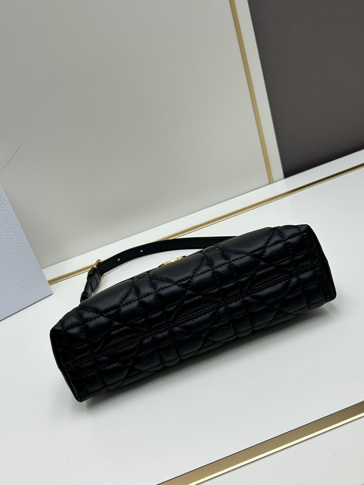 Dior 0318 23x13x6cm ss1_6