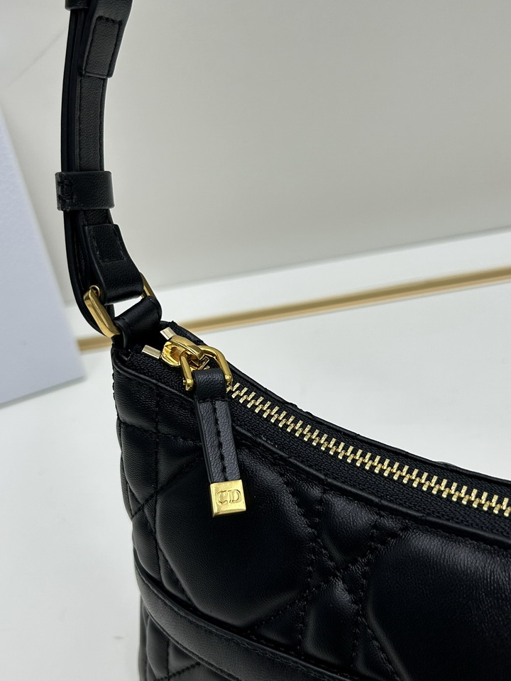 Dior 0318 23x13x6cm ss1_5