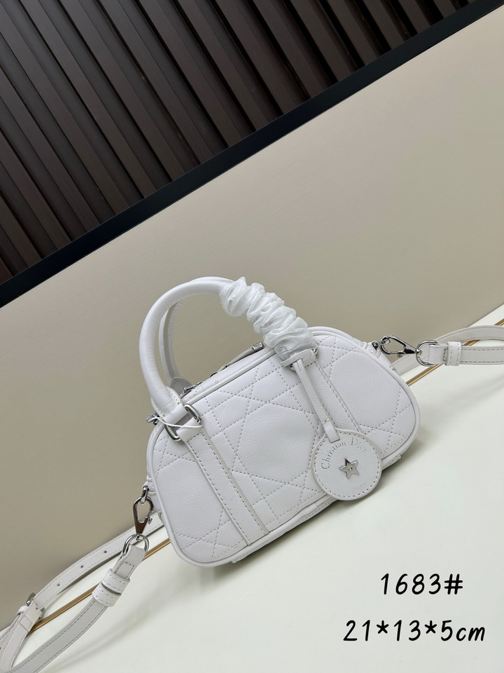 Dior 1683 20 5x13x5cm ss3_1