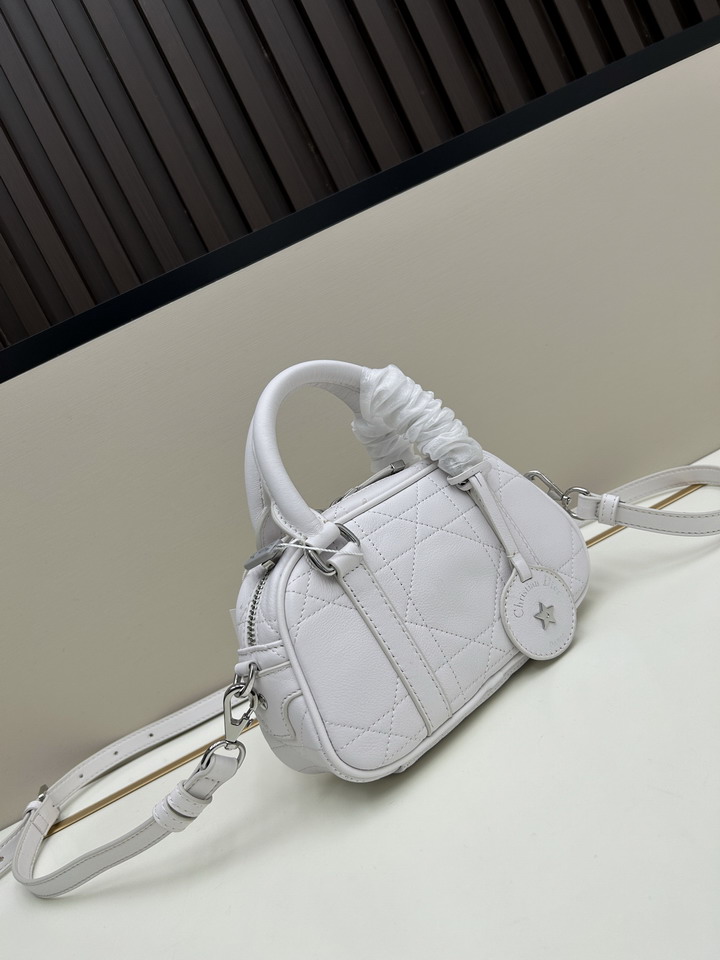 Dior 1683 20 5x13x5cm ss3_2