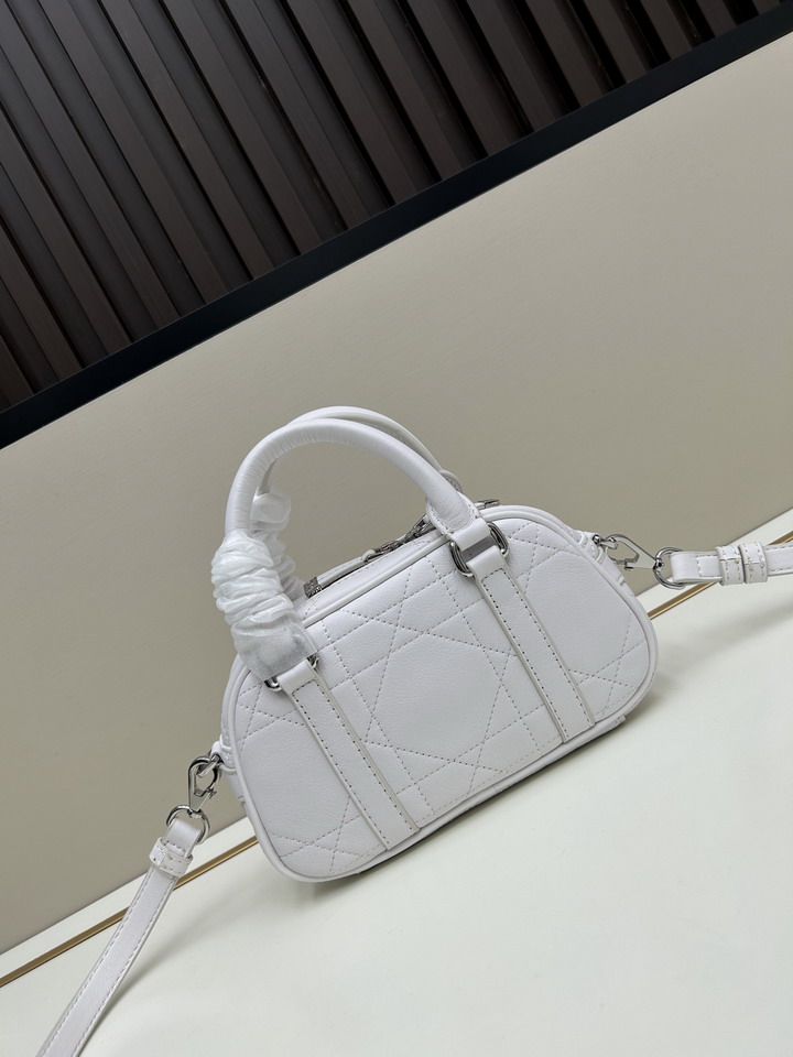 Dior 1683 20 5x13x5cm ss3_3