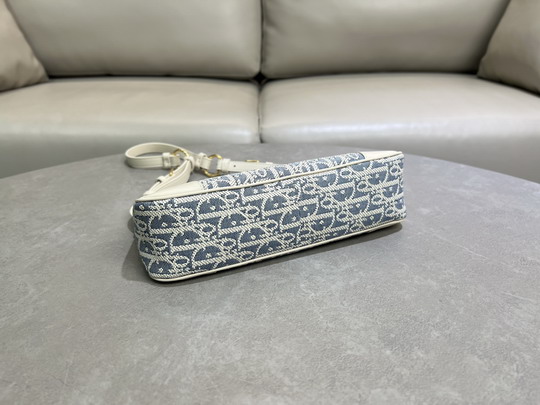 Dior S2398UTZQ 26x12x7cm yz1_9