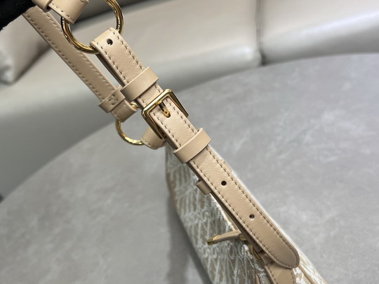 Dior S2398UTZQ 26x12x7cm yz2_3