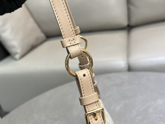 Dior S2398UTZQ 26x12x7cm yz2_6