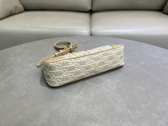 Dior S2398UTZQ 26x12x7cm yz2_8