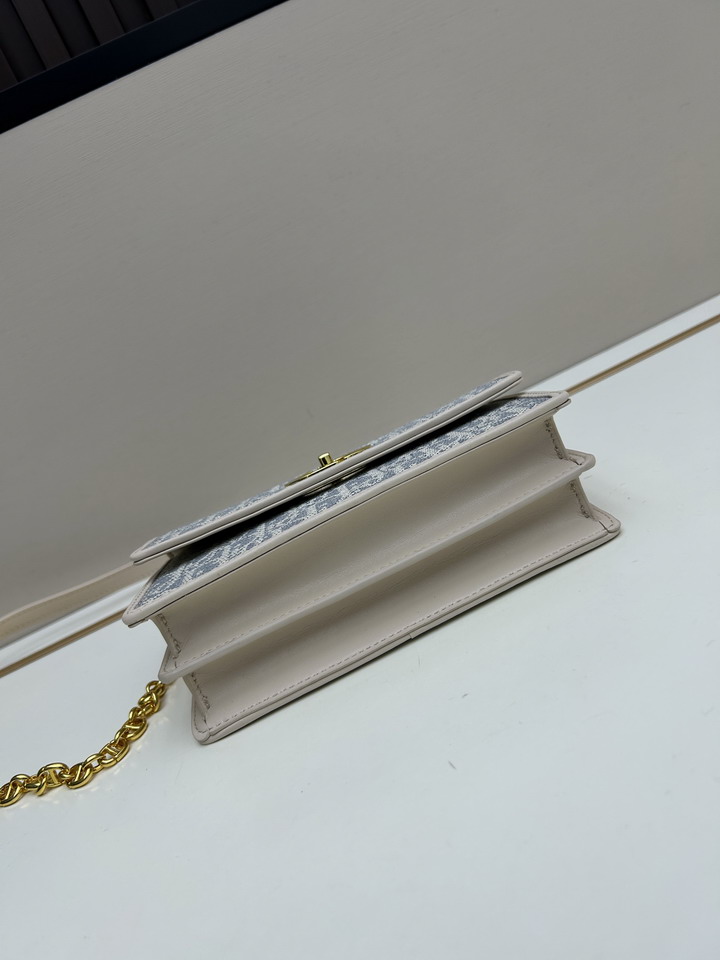 Dior caro 1690 18x12x5 5cm jj1_5