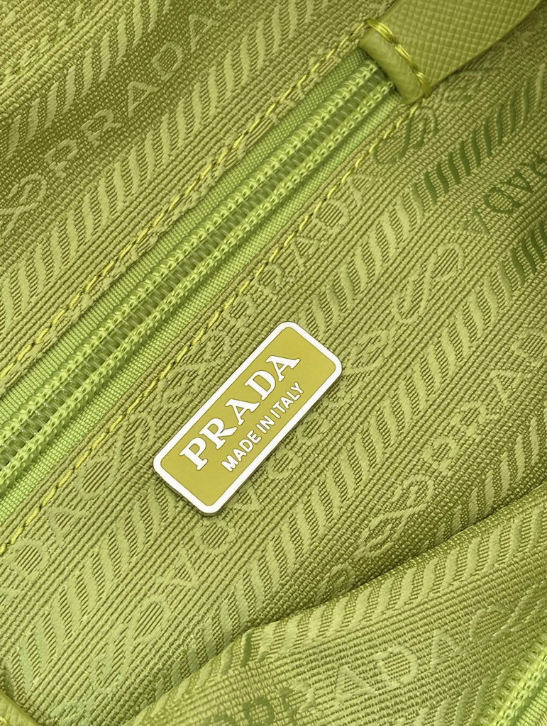 Prada 1NS021 17x11x5 5cm AP_9