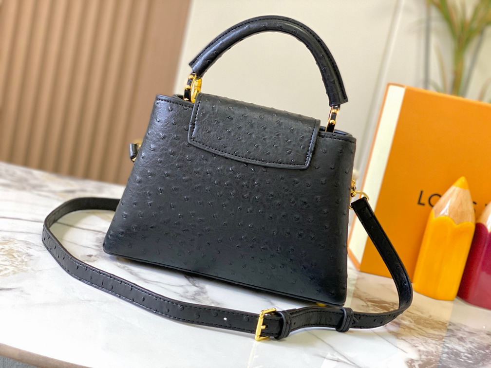 Cap M48866 27x18x9cm ss_5