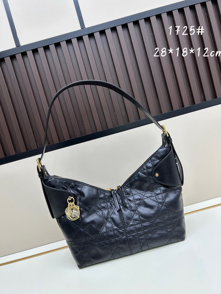 Dior 1725 28x18x12cm jj2_1