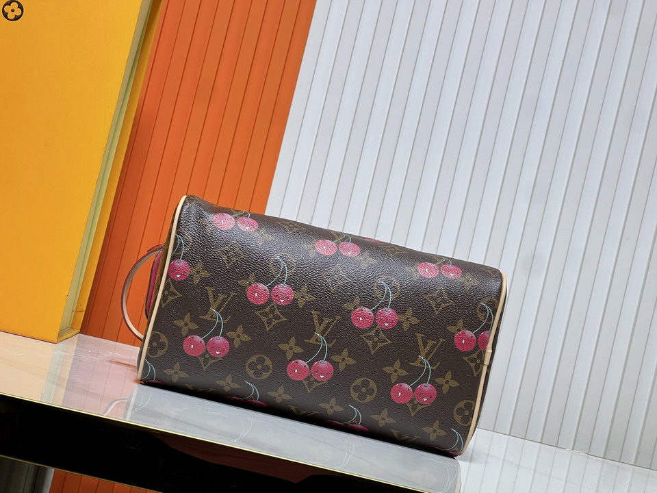 Dopp Kit M47528 28x15x16 5cm ss1_7