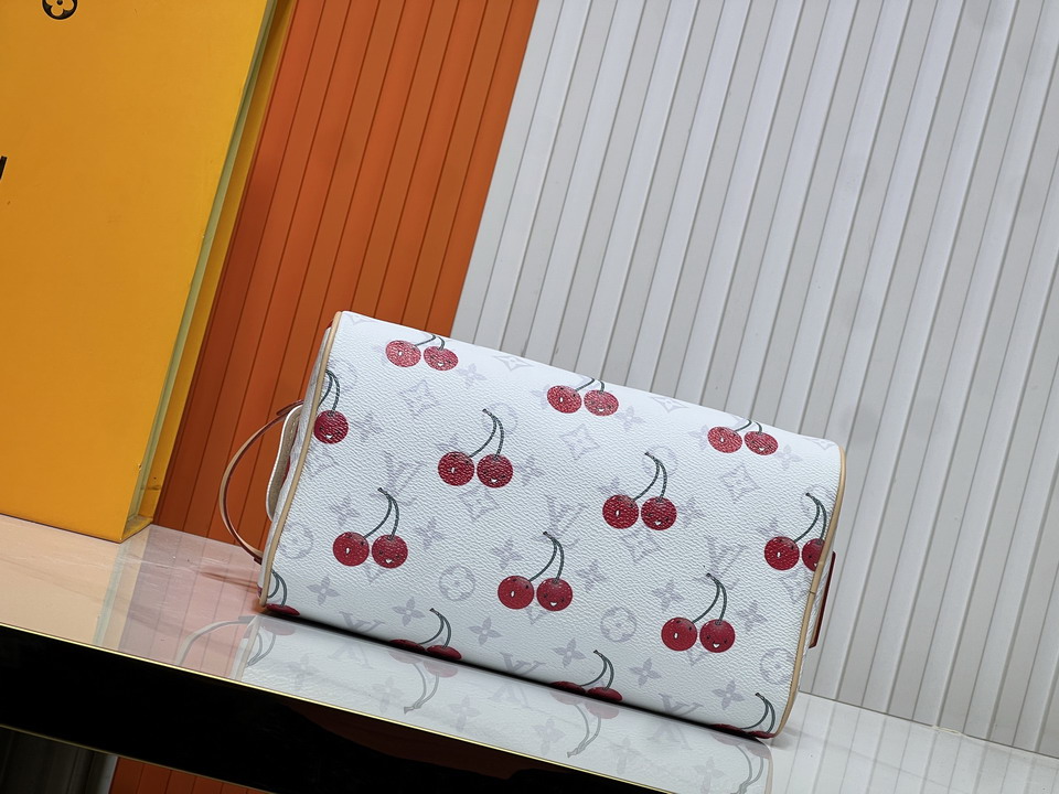 Dopp Kit M47528 28x15x16 5cm ss2_7