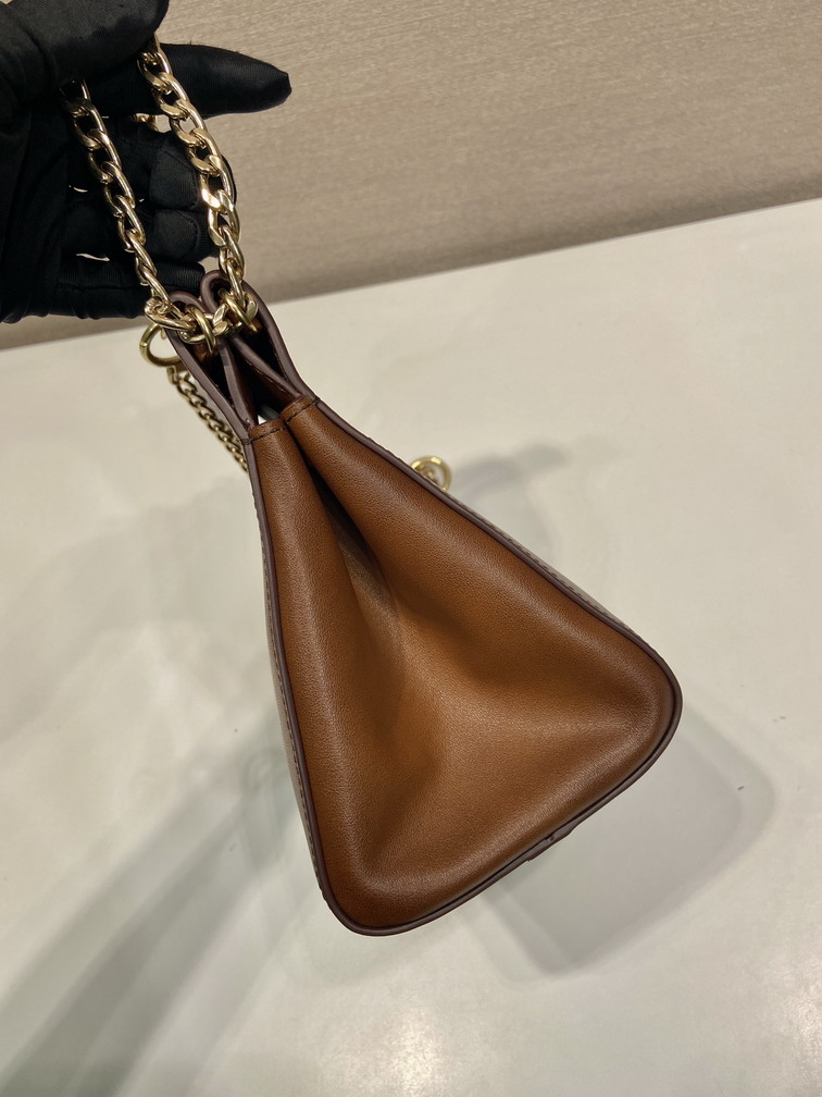 Prada 1BC263 22x18x11 5cm AP_9