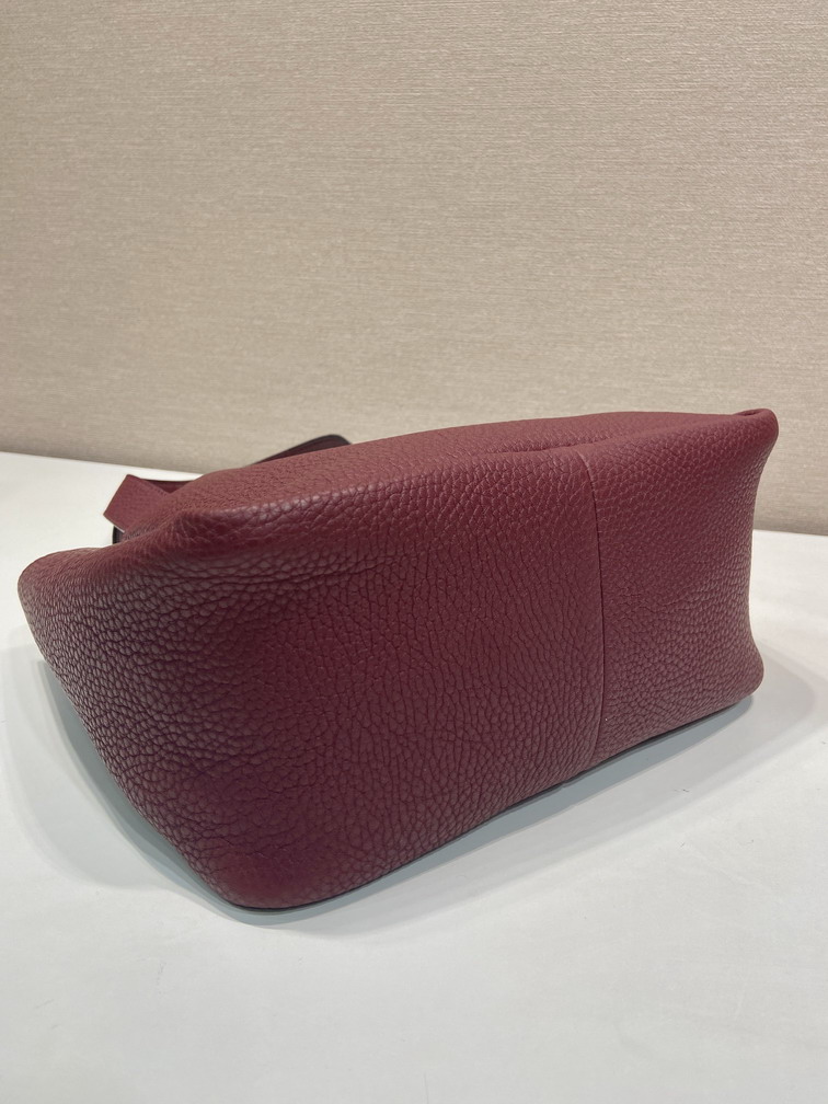 Prada 1BG335 25x21 5x14cm AP_6