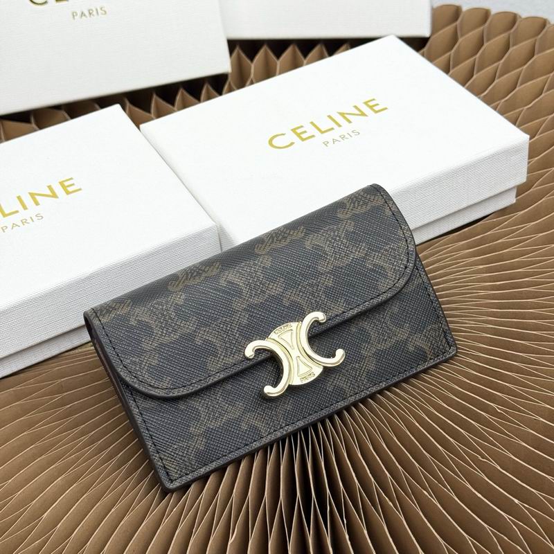 Celine 10073 13x8x1cmZC (2)