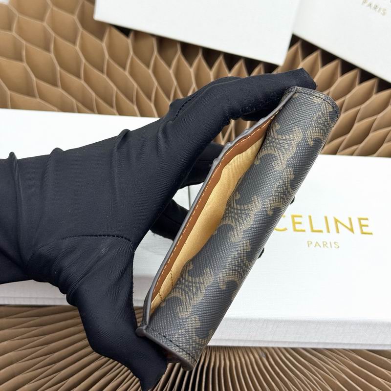 Celine 10073 13x8x1cmZC (6)