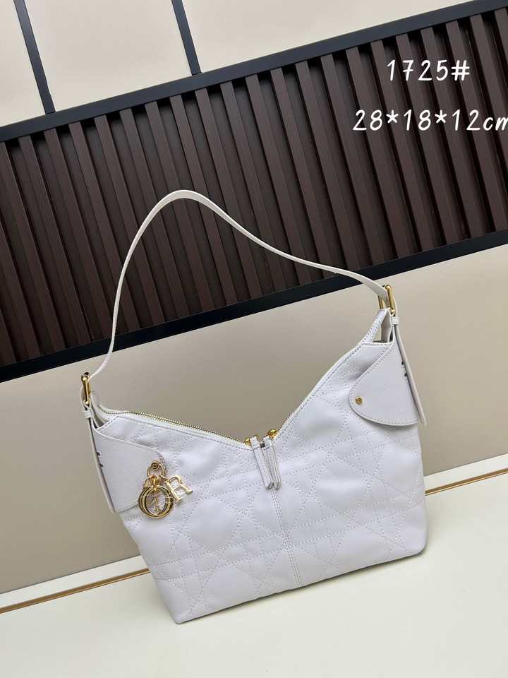 Dior 1725 28x18x12cm jj1_1