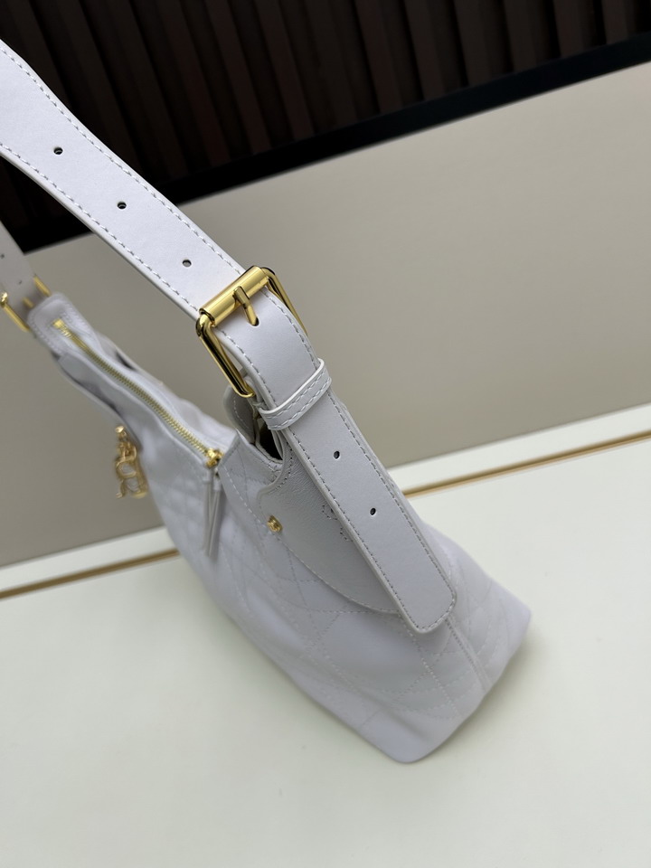 Dior 1725 28x18x12cm jj1_2