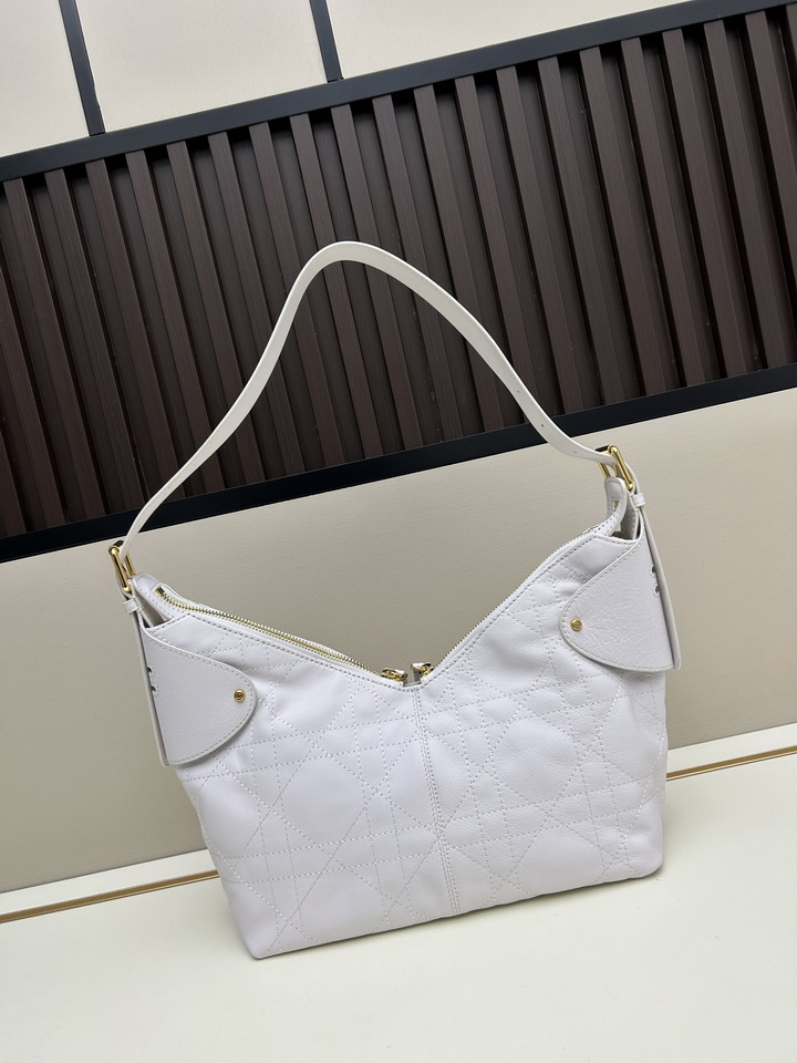 Dior 1725 28x18x12cm jj1_3