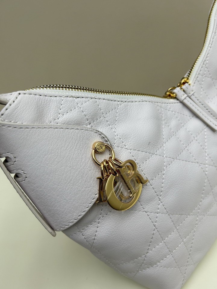 Dior 1725 28x18x12cm jj1_4