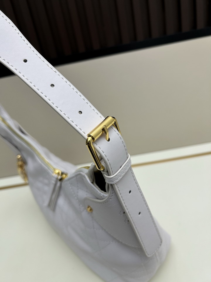 Dior 1725 28x18x12cm jj1_6