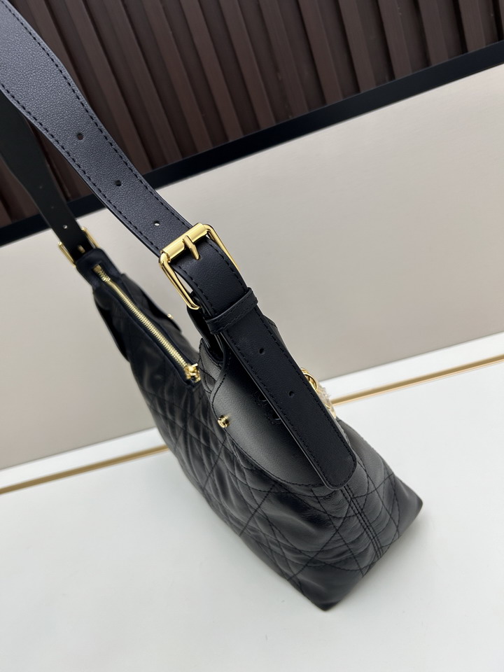 Dior 1725 28x18x12cm jj_2