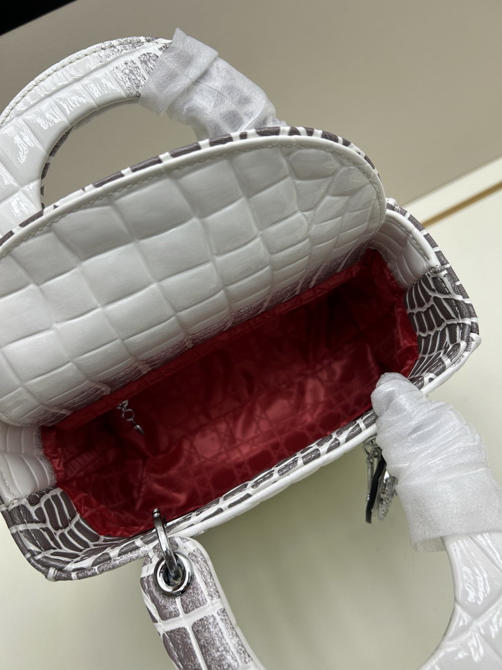 Dior 8849 20x18x9cm jj1_7