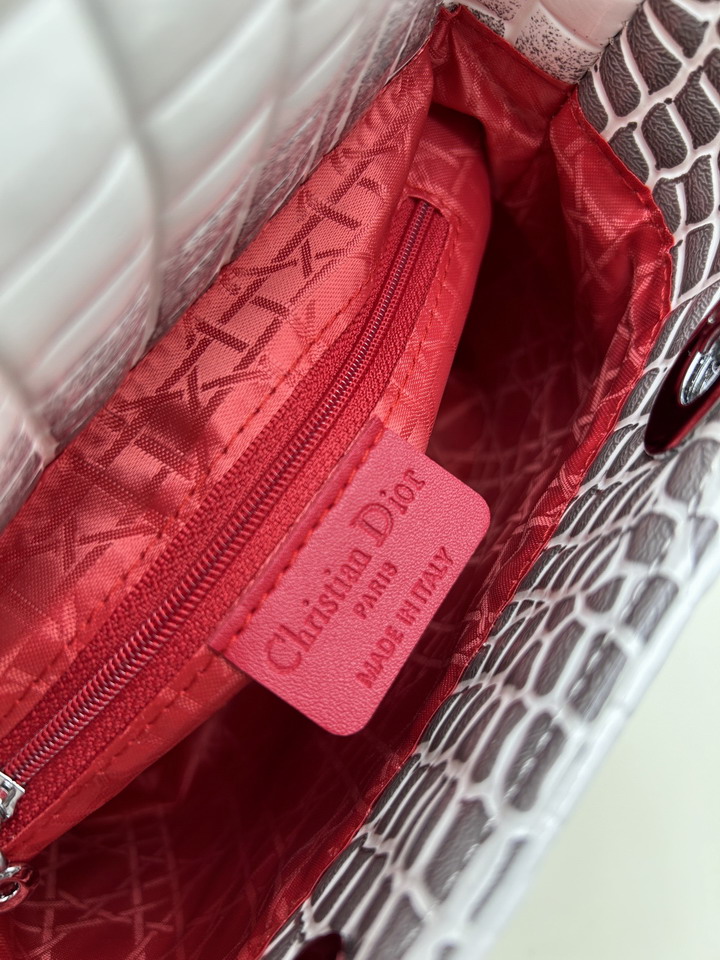 Dior 8849 20x18x9cm jj1_8