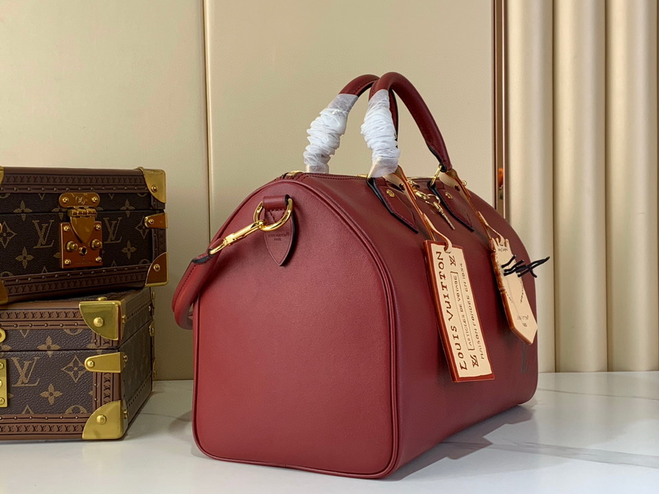 Speedy m25766 17x30x21cm gf_2