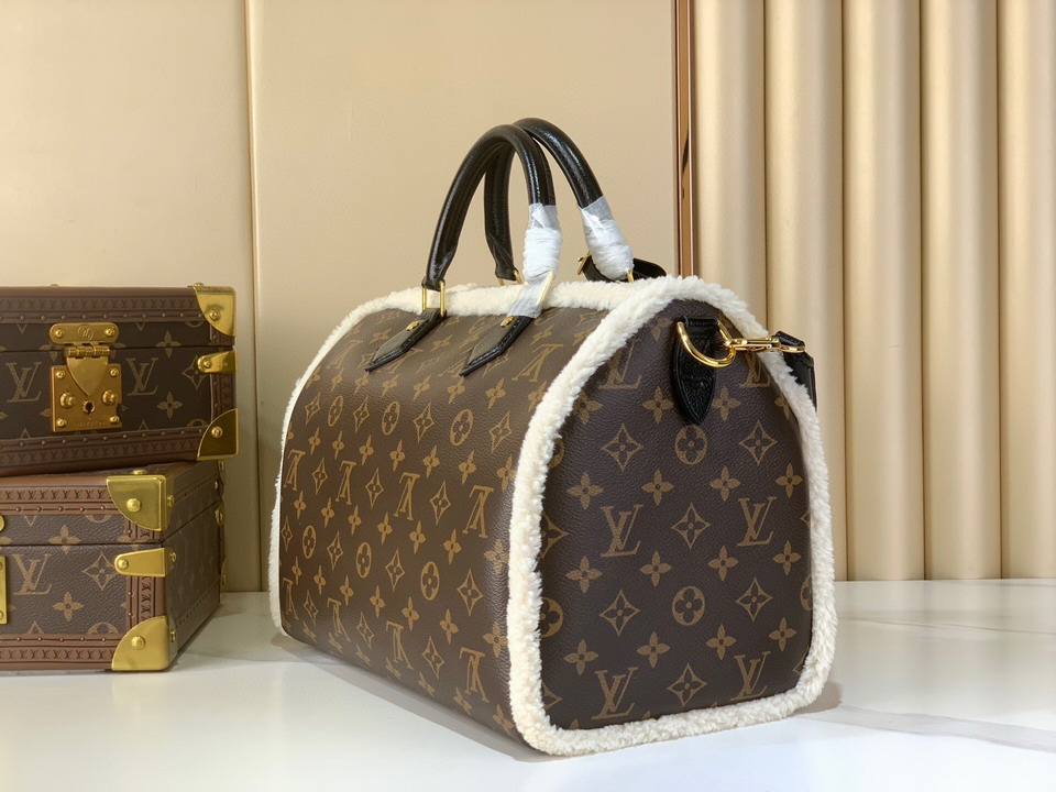 Speedy m26326 21x17x30cm gf_2