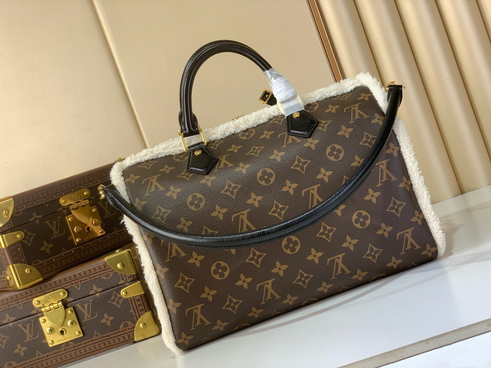 Speedy m26326 21x17x30cm gf_3