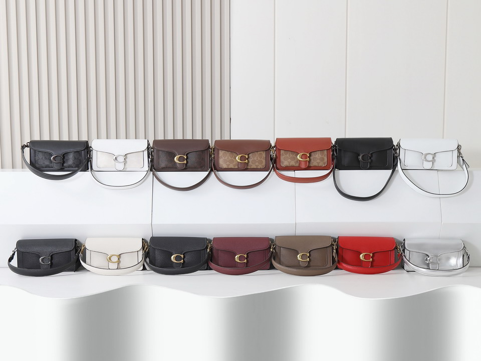 Coach 73995 20x10x6cm ss_10