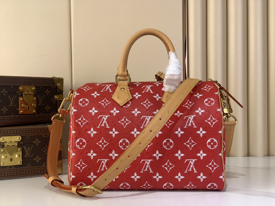 Speedy M14064 30x17x21cm gf12_3