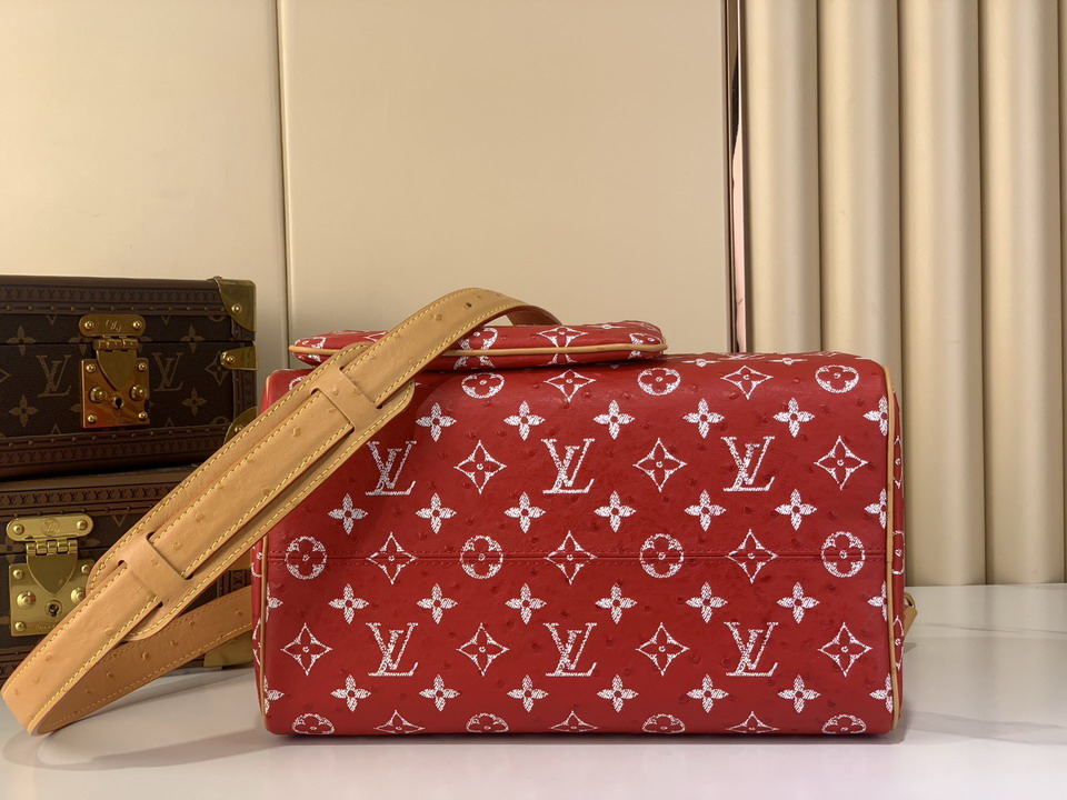 Speedy M14064 30x17x21cm gf12_4