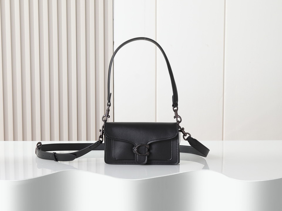 Coach 73995 20x10x6cm ss1_1