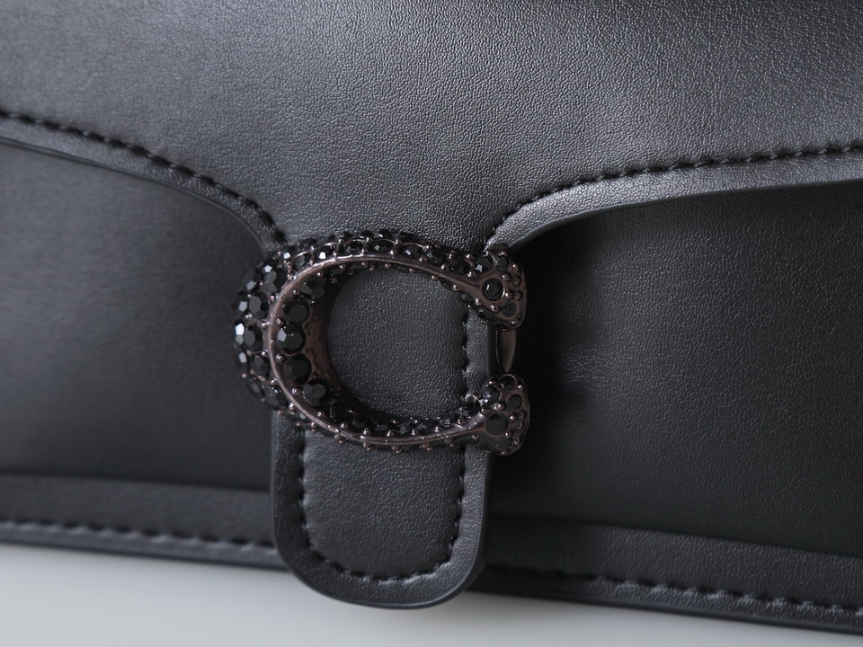 Coach 73995 20x10x6cm ss1_5