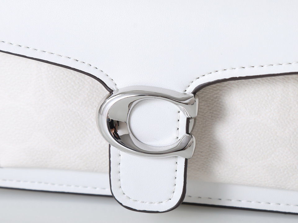 Coach 73995 20x10x6cm ss12_5