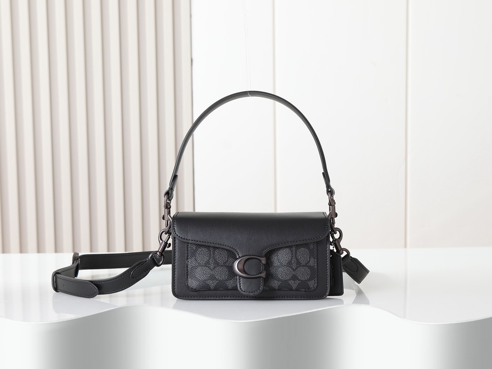 Coach 73995 20x10x6cm ss13_1