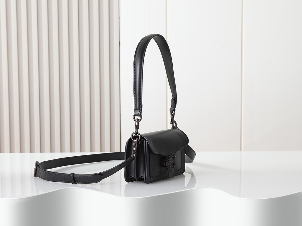 Coach 73995 20x10x6cm ss1_3