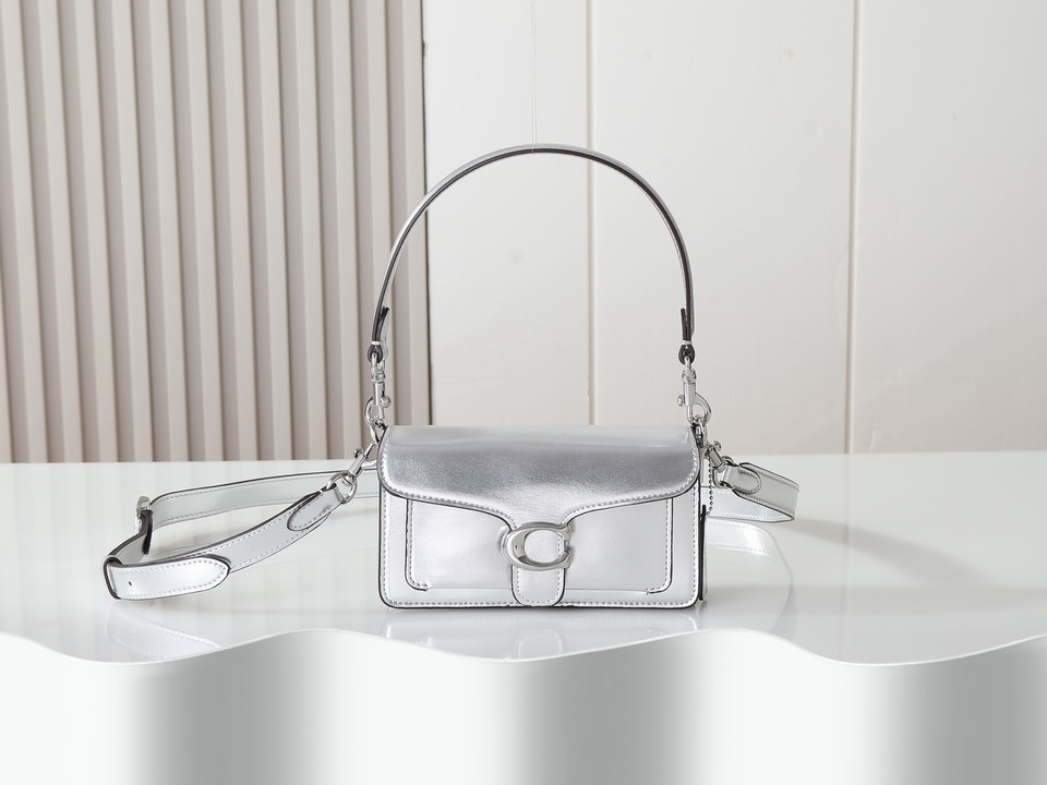 Coach 73995 20x10x6cm ss_1