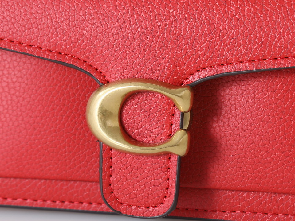 Coach 73995 20x10x6cm ss3_5